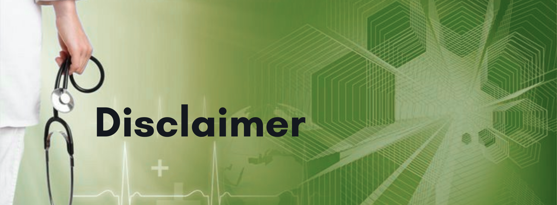 Disclaimer